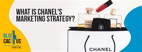 stage marketing chanel linkedin|Chanel no 5 marketing strategy.